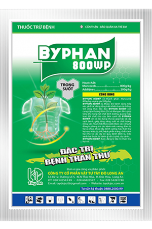 BYPHAN 800WP